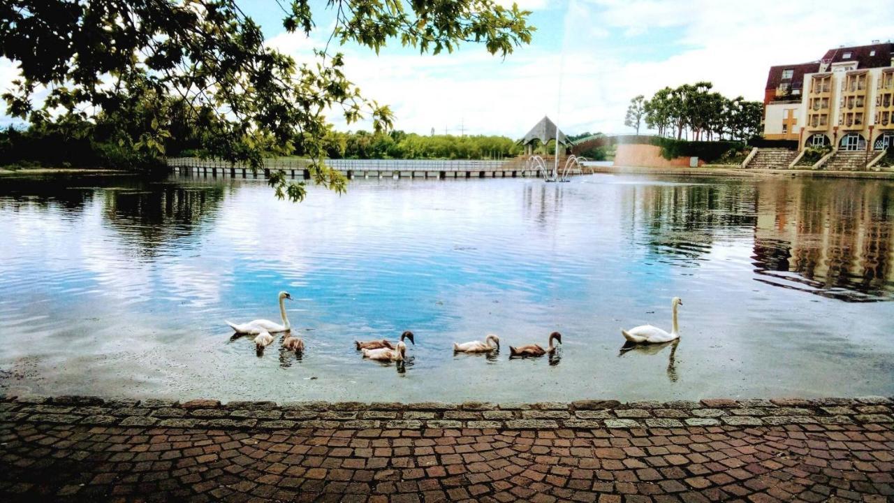 Vue Exceptionnelle Sur Le Lac Créteil Zewnętrze zdjęcie