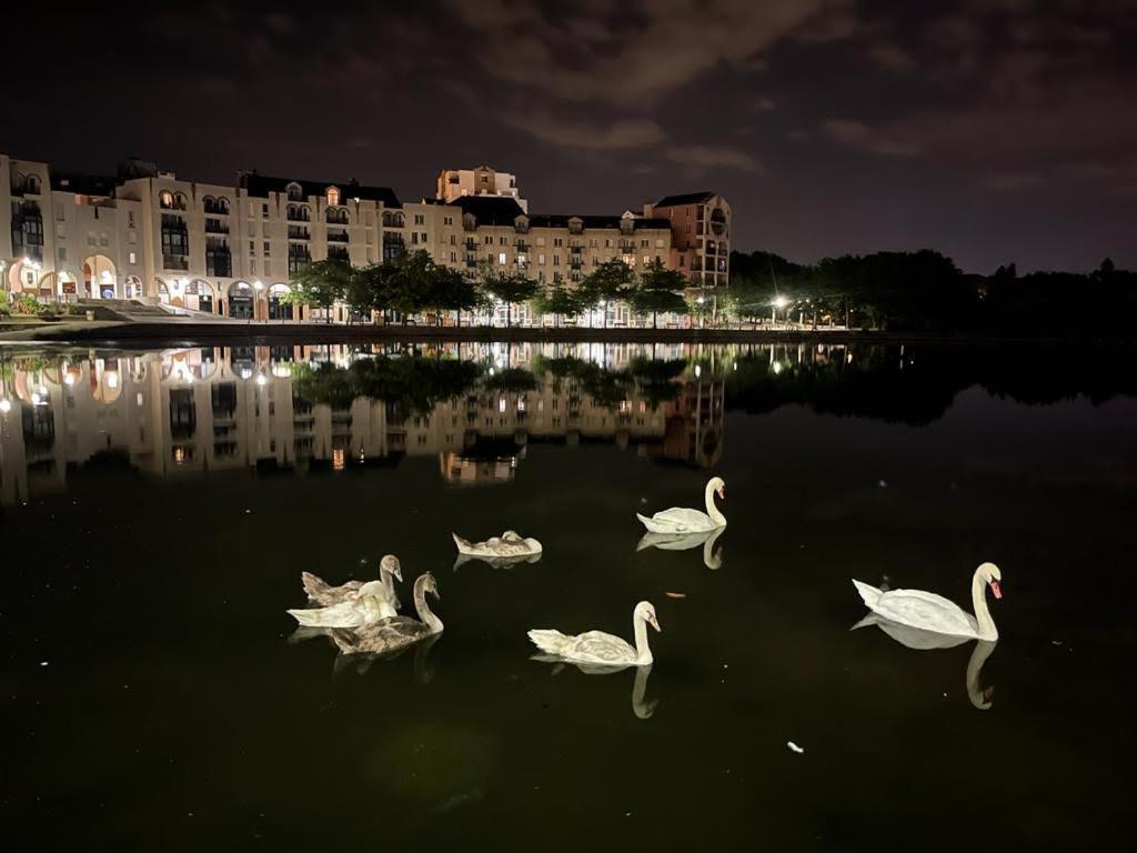 Vue Exceptionnelle Sur Le Lac Créteil Zewnętrze zdjęcie