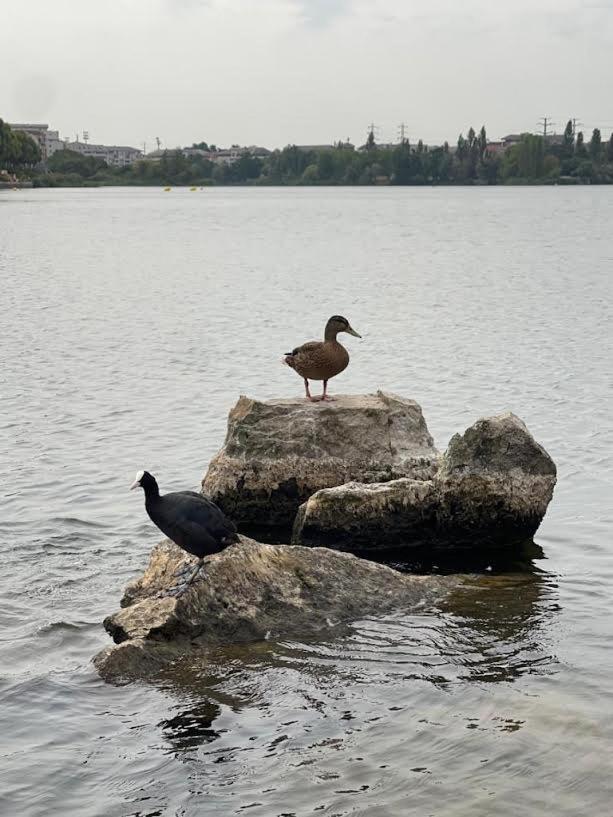 Vue Exceptionnelle Sur Le Lac Créteil Zewnętrze zdjęcie